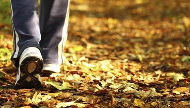 person walking on fallen leaves
